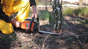 Best Lawn Watering Services  in Veneta, OR