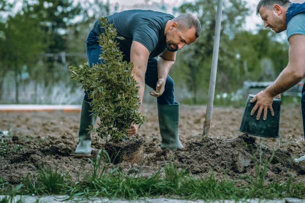 Best Seasonal Cleanup (Spring/Fall)  in Veneta, OR