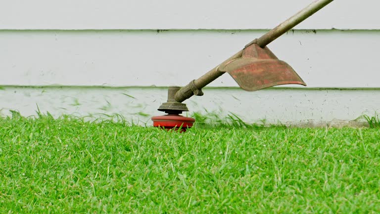 Best Weed Control  in Veneta, OR